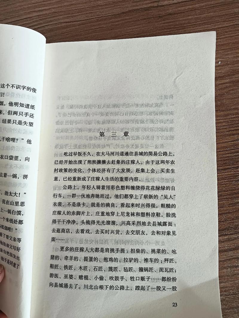 路遥《人生》在线阅读：高加林的命运抉择与时代悲歌