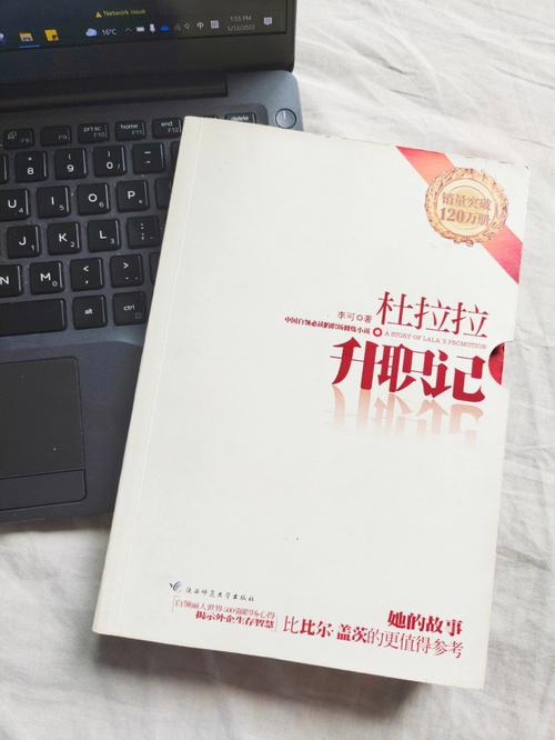杜拉拉升职记全文在线阅读 - 职场生存与升职法则