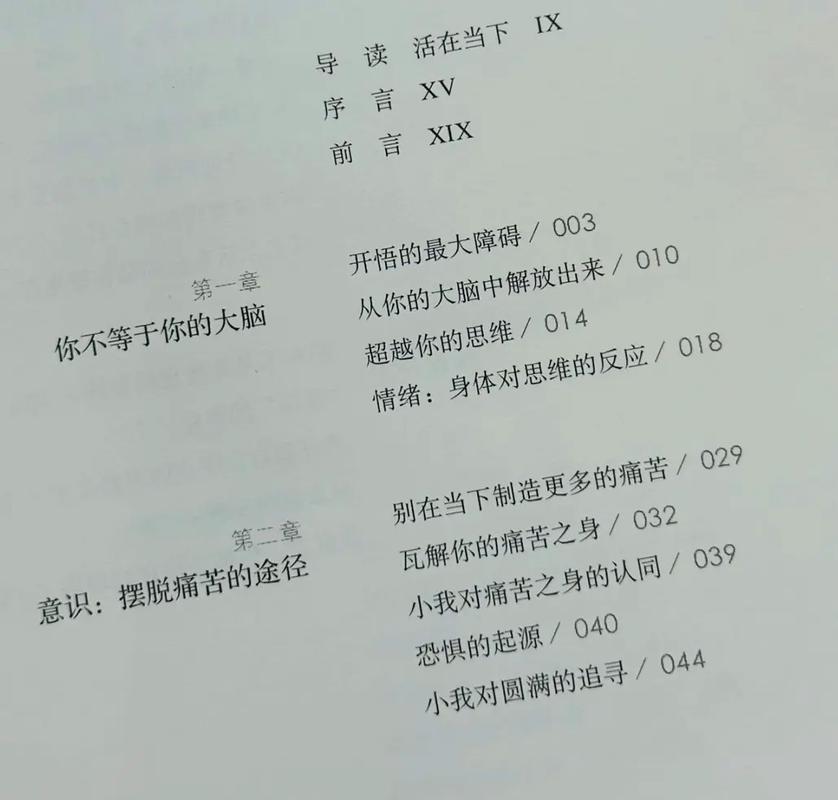 唐砖全文免费阅读_唐砖最新章节_无弹窗在线看
