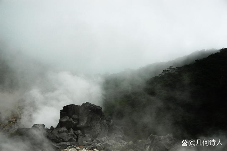 初夏若雨等花开在线阅读的相关介绍