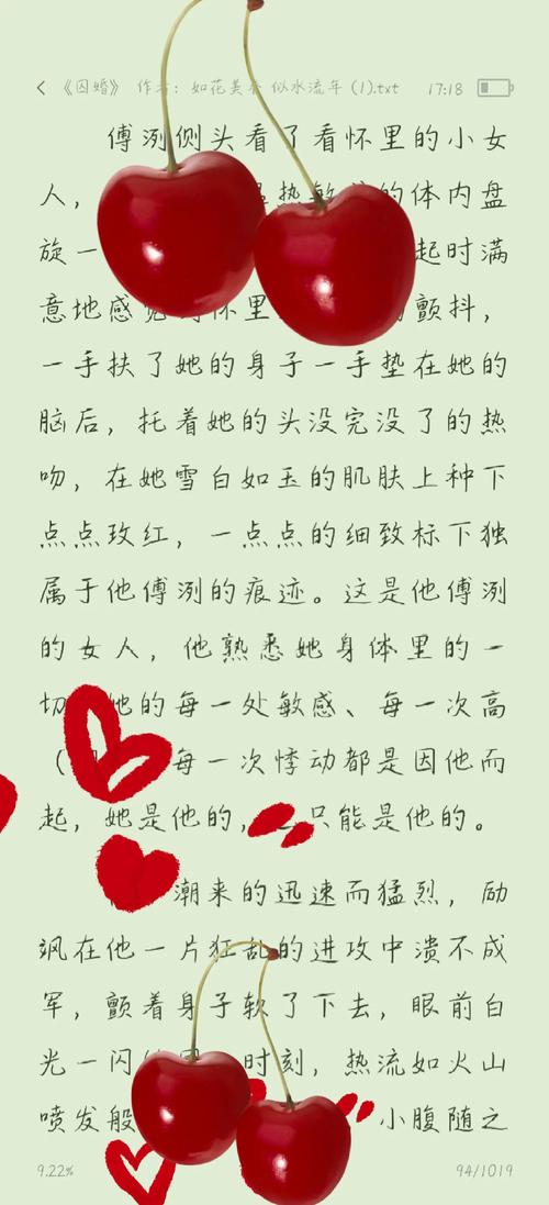 阿宾全文阅读在线78章|免费阅读完整版最新章节