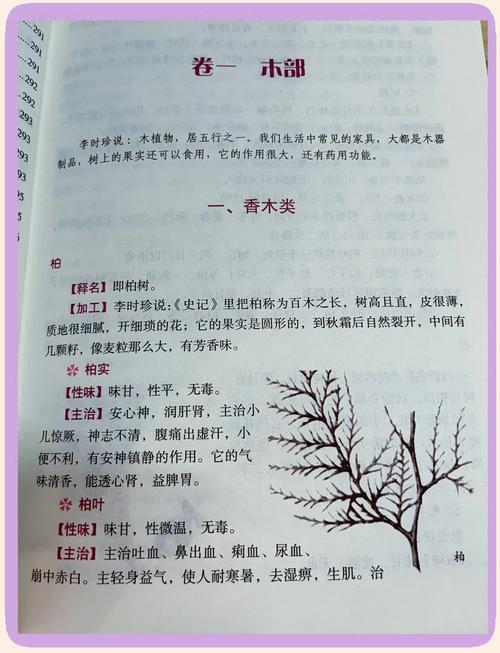 龙族3全文在线阅读 | 路明非黑月之潮完整版