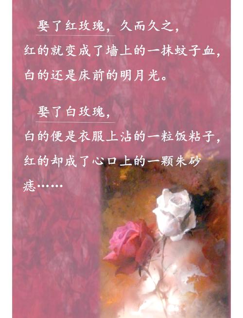 红玫瑰与白玫瑰在线阅读 | 张爱玲经典小说全文
