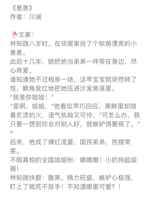 少年阿宾全文在线阅读 | 经典小说无删减版