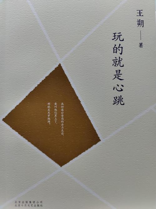 玩的就是心跳在线阅读 | 王朔经典小说全文免费阅读