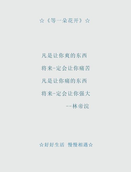 初夏若雨等花开全文免费在线阅读