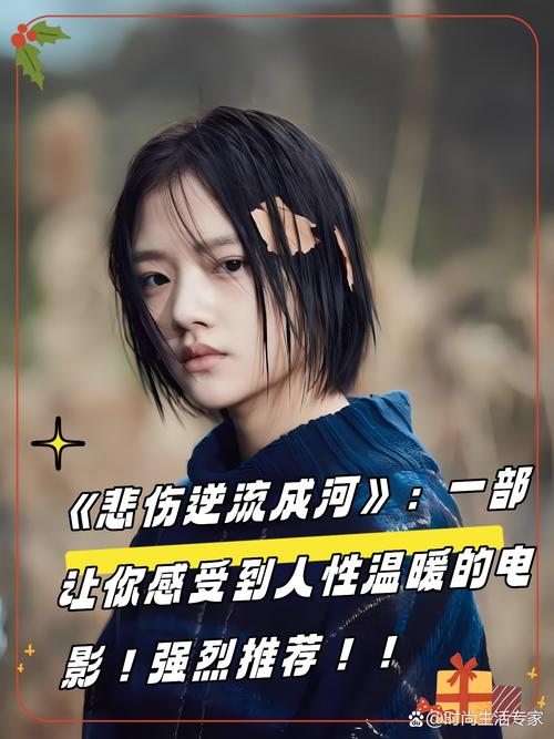 郑爽的书在线阅读的相关介绍