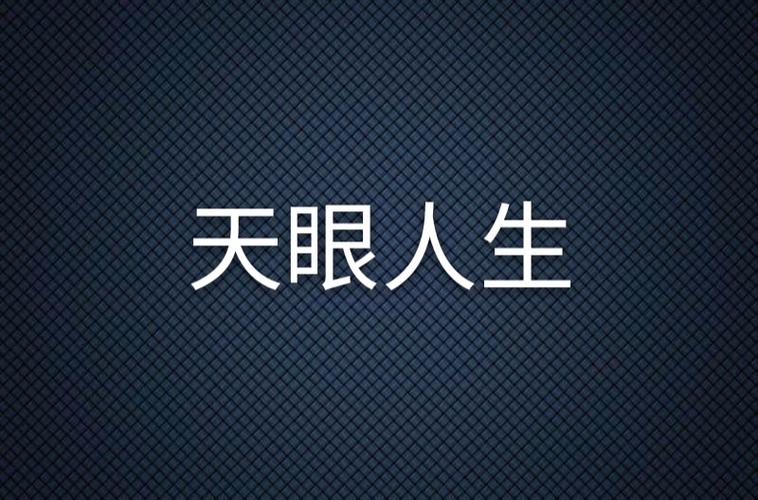 天眼人生全文在线阅读 - 揭秘命运轮回的奇书