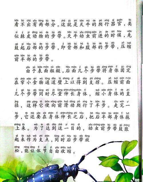 痴婆子传免费翻译全文在线阅读 | 白话完整版