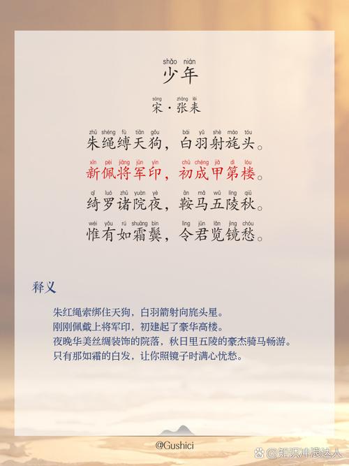 少年在线阅读全文免费阅读最新版全本无删减