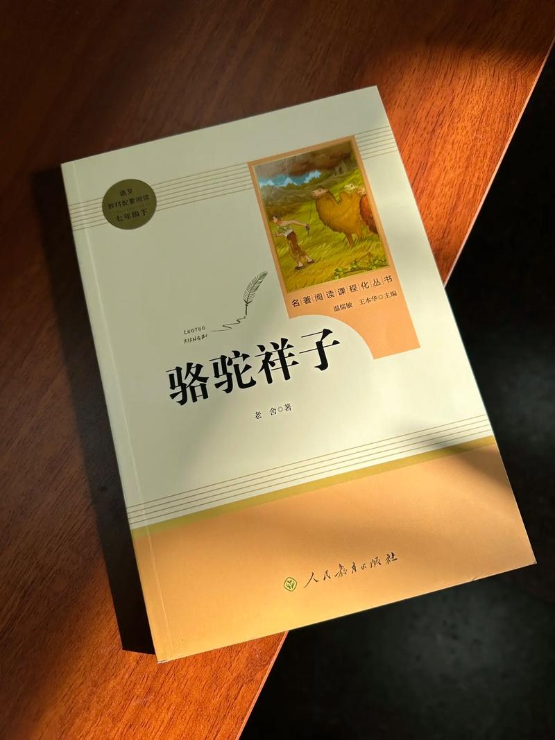 和表姐同居的日子全文在线阅读 | 温馨日常小说