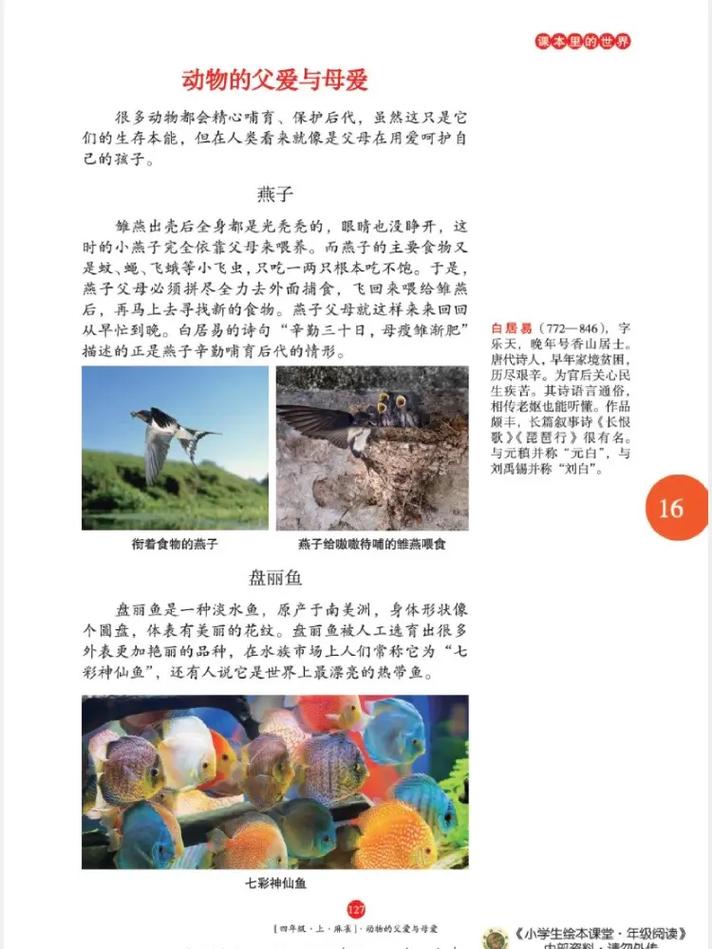 未絮小说全文在线阅读，精彩章节免费阅读