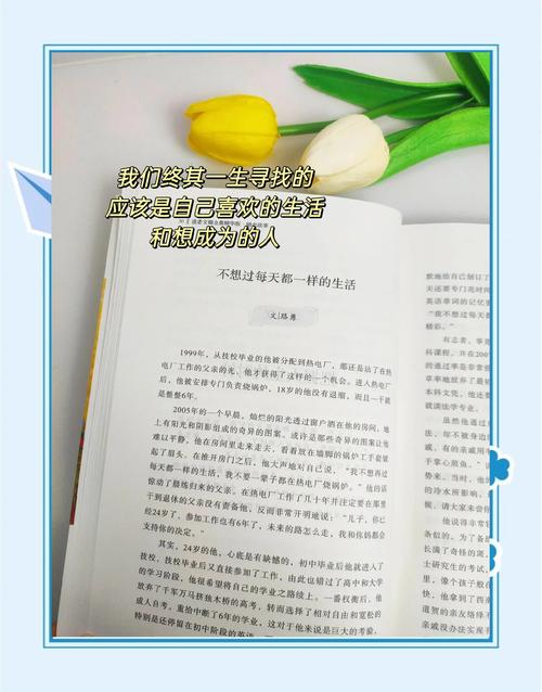 叶离小说全文在线阅读 | 热门章节免费畅读无广告