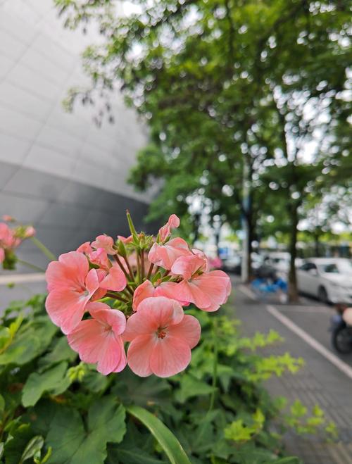 稻香王小根全文免费在线阅读 | 最新章节更新