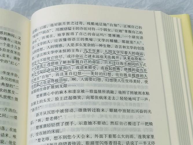 穆斯林的葬礼全文免费在线阅读 | 经典文学名著