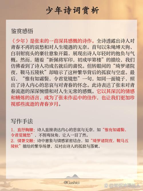少年在线阅读全文免费阅读最新版全本无删减