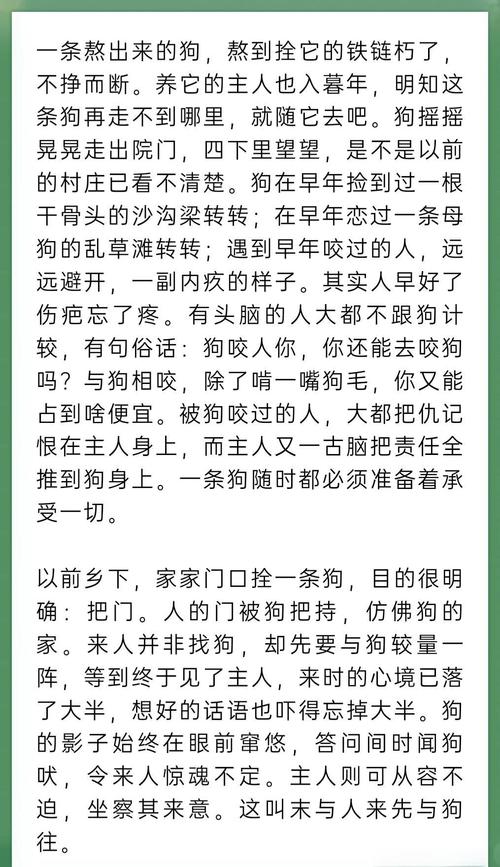 人狗合集全文在线阅读｜精选合集尽享人与狗的温情故事