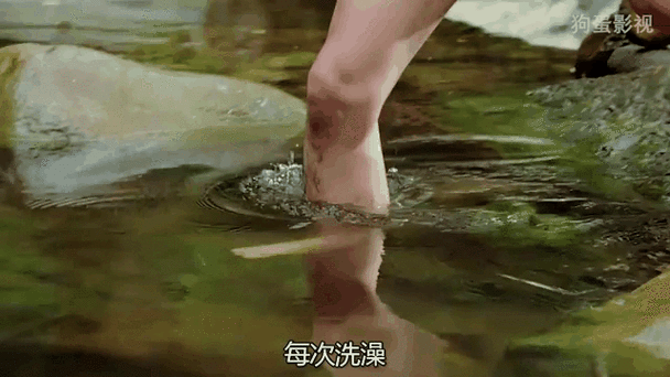 欲成欢一小说全文在线阅读 | 热门章节免费看
