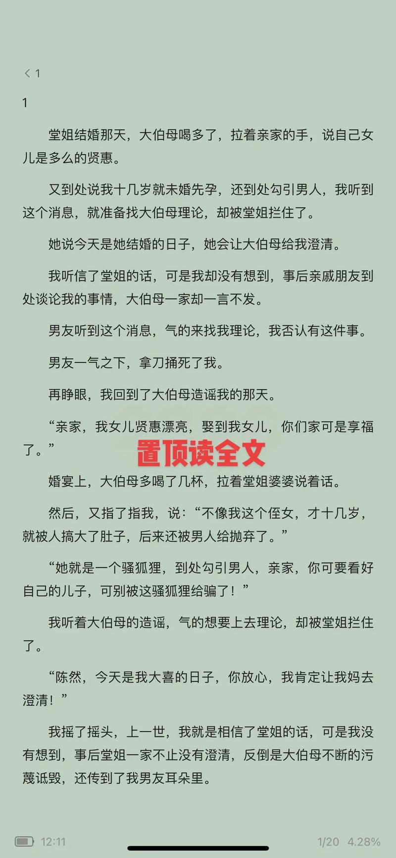 家轮乱小说全文免费在线阅读 | 热门家庭伦理小说推荐