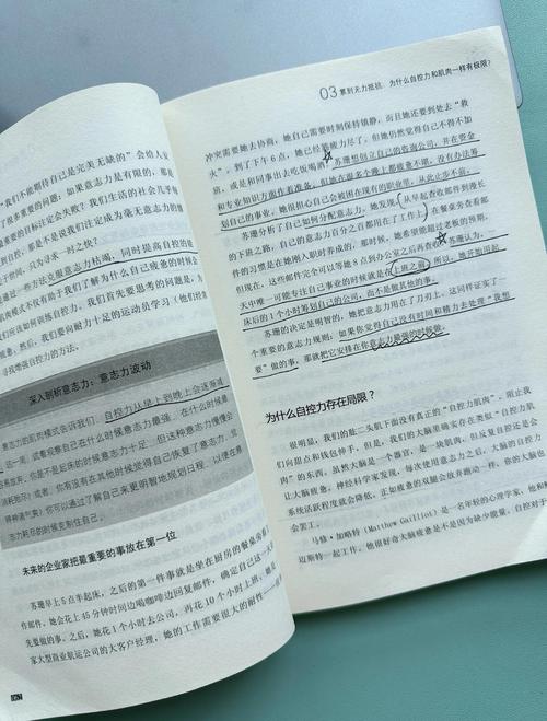 《首长红人》全文在线阅读，揭秘官场权谋与人性博弈